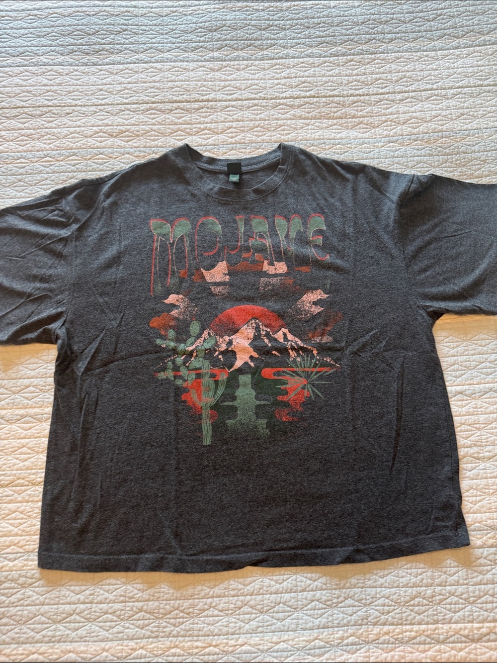 wild fable Charcoal Graphic Tee with Red & Green Print